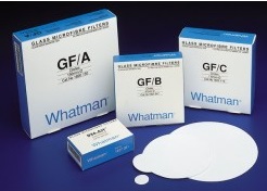 PAPEL MICROFIBRA VIDRIO GF/ A 9.0CM CON 100